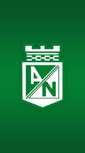 foto perfil